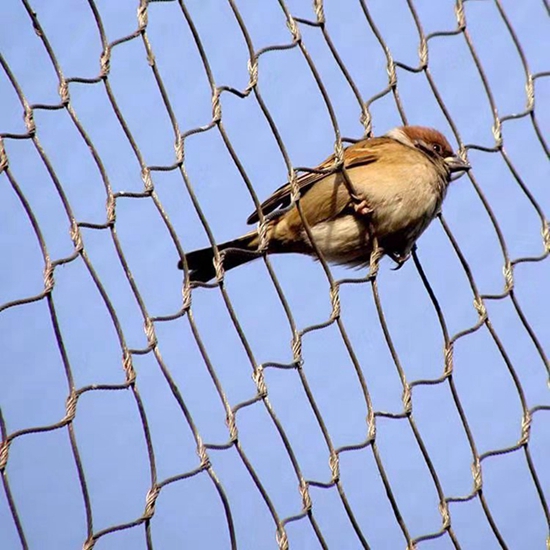 Galvanized Hexagonal Protecting Mesh Steel Wire Mesh