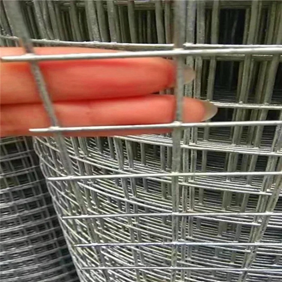 Galvanized Steel Welded Wire Mesh for Chicken Farm Fence