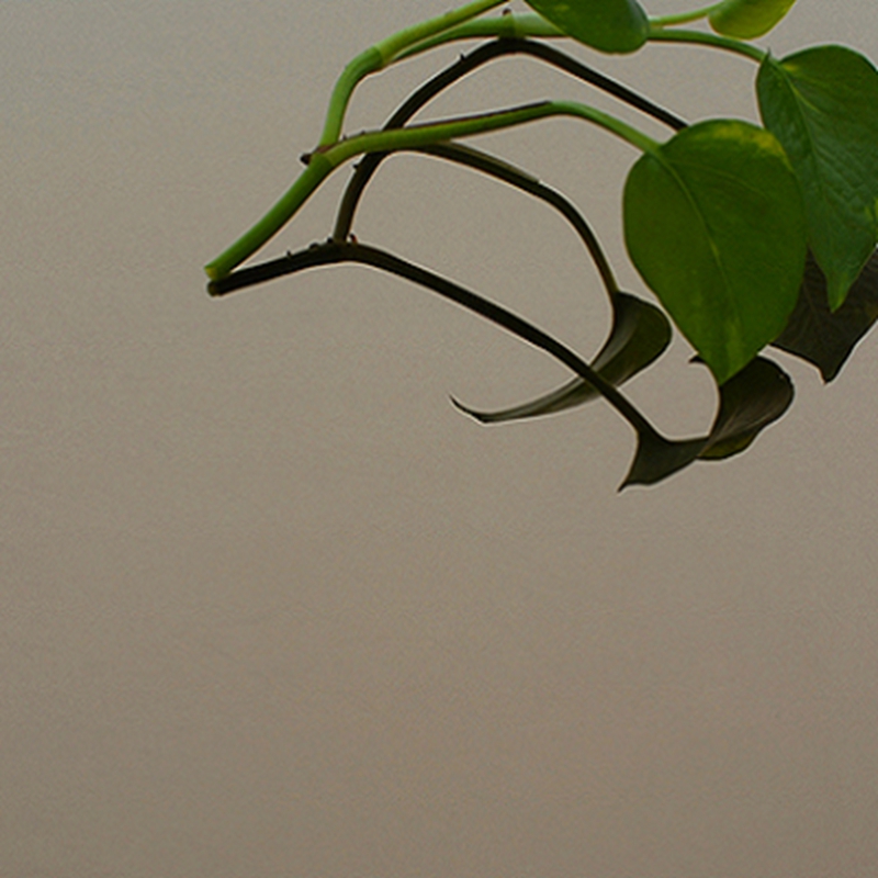 Application Price 0.5mm Black Stainless Steel Sheet for Sale