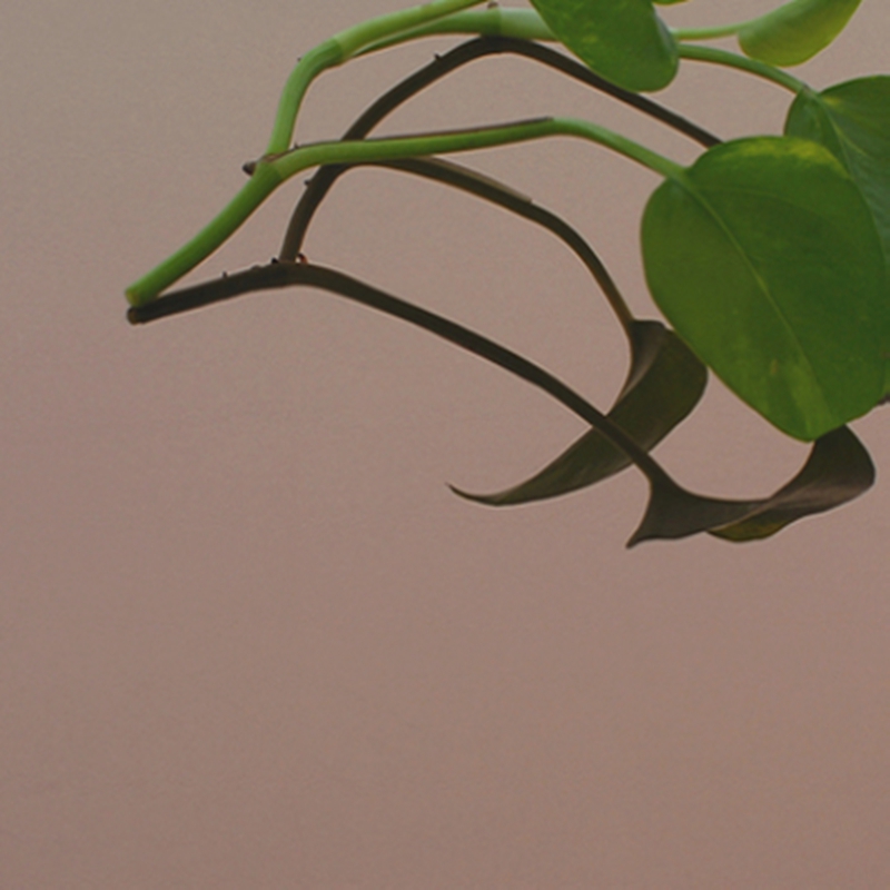 Custom Design 304 316 2B Finish Stainless Steel Sheet